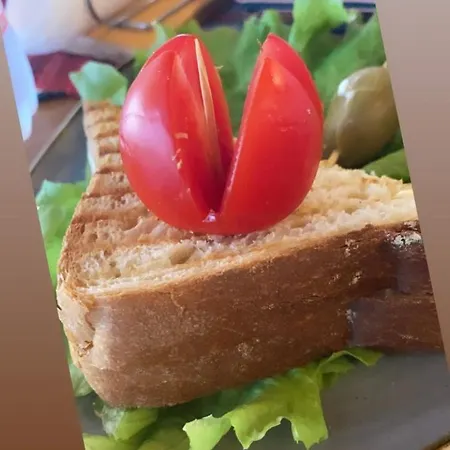 Apartment Rezidenca Shopi Elbasan