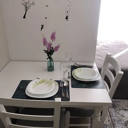 Rezidenca Shopi エルバサン