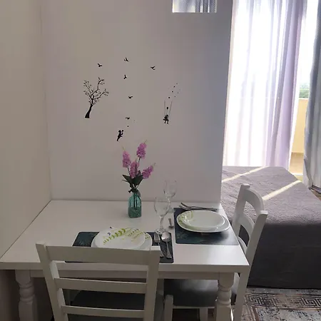 Rezidenca Shopi Διαμέρισμα Ελβασάν